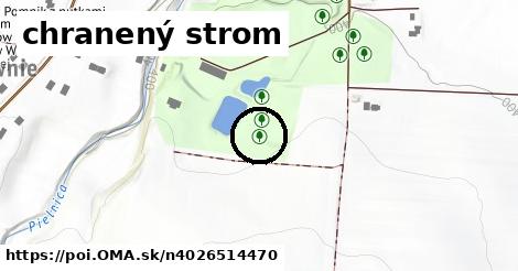 chranený strom