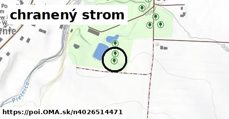 chranený strom