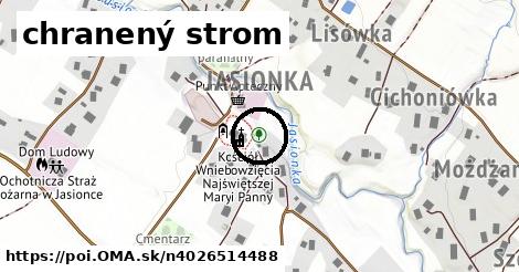 chranený strom