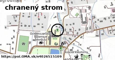 chranený strom