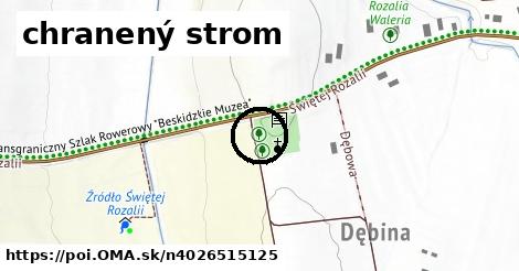 chranený strom