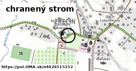 chranený strom