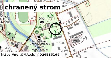 chranený strom