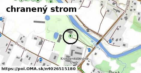 chranený strom