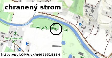 chranený strom