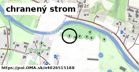 chranený strom