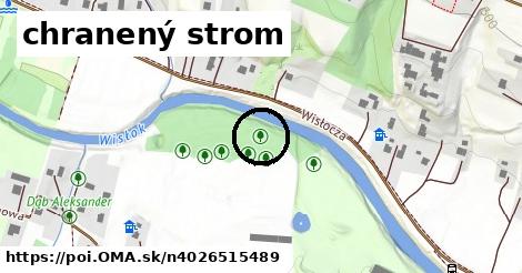 chranený strom