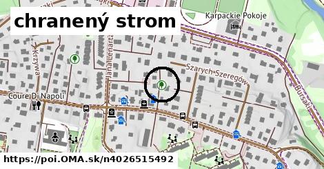 chranený strom