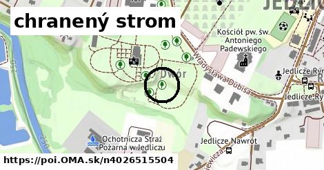 chranený strom