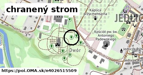 chranený strom