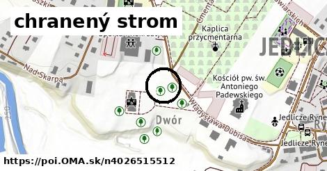 chranený strom