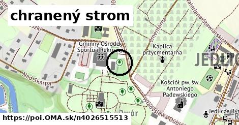 chranený strom