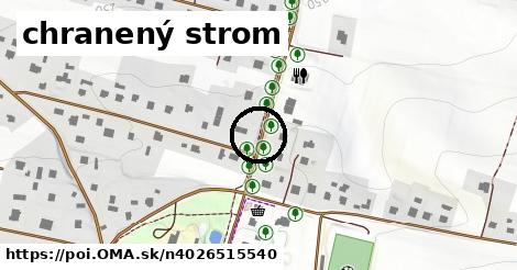 chranený strom