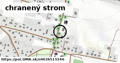 chranený strom