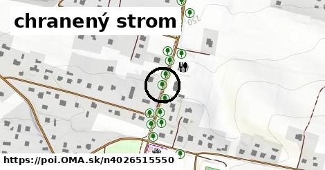 chranený strom