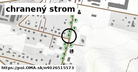 chranený strom