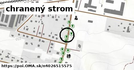 chranený strom