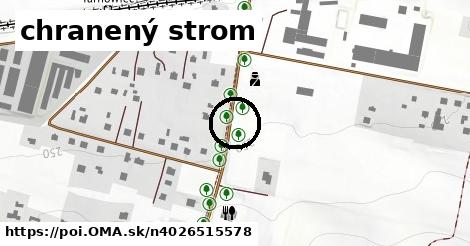 chranený strom