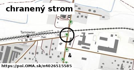 chranený strom