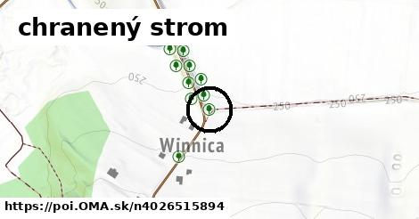 chranený strom