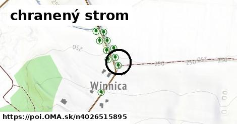 chranený strom