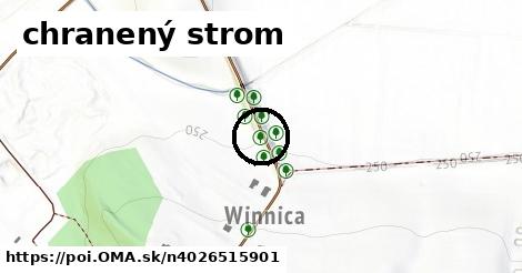 chranený strom