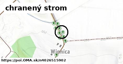 chranený strom