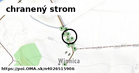 chranený strom