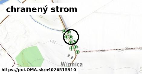 chranený strom