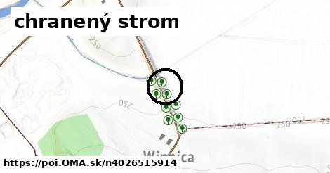 chranený strom