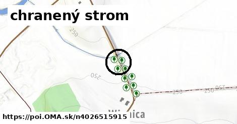 chranený strom