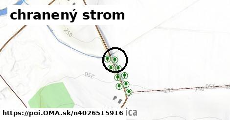 chranený strom