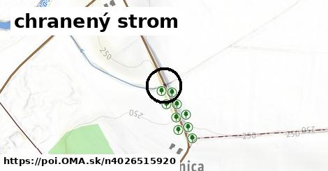 chranený strom