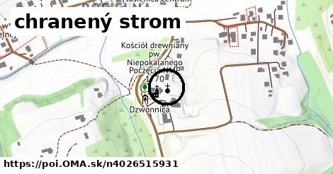 chranený strom