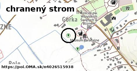 chranený strom