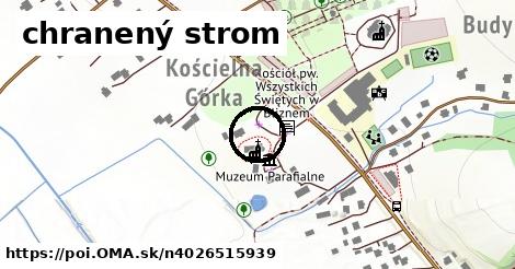 chranený strom