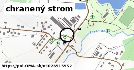 chranený strom