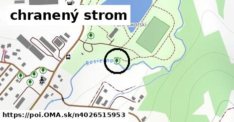 chranený strom