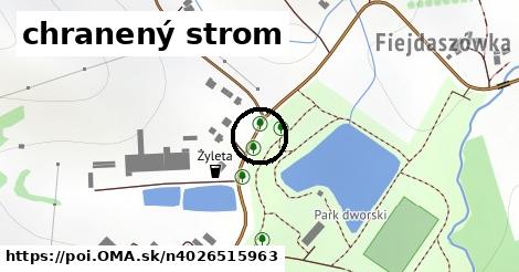 chranený strom