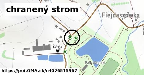 chranený strom