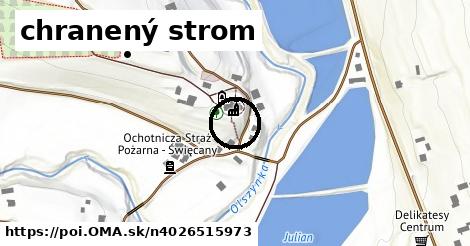 chranený strom