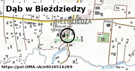 Dąb w Bieździedzy