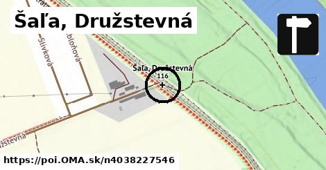 Šaľa, Družstevná