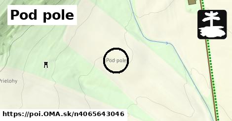 Pod pole