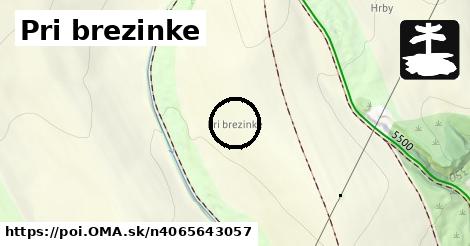 Pri brezinke