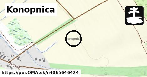 Konopnica