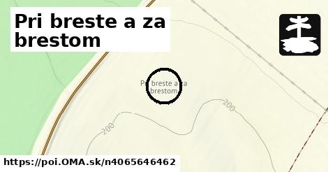 Pri breste a za brestom