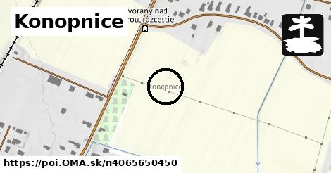 Konopnice