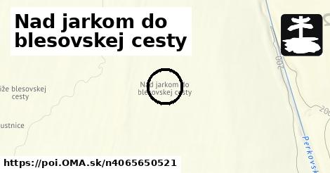 Nad jarkom do blesovskej cesty