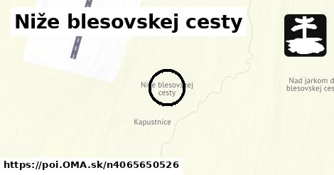 Niže blesovskej cesty